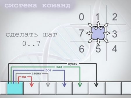 генетический алгоритм