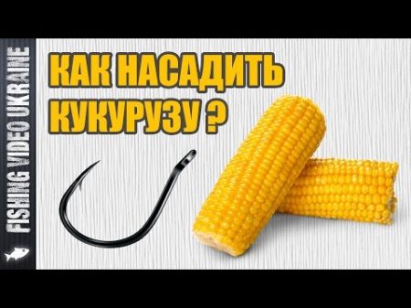 Как насадить кукурузу на крючок Четыре способа HD