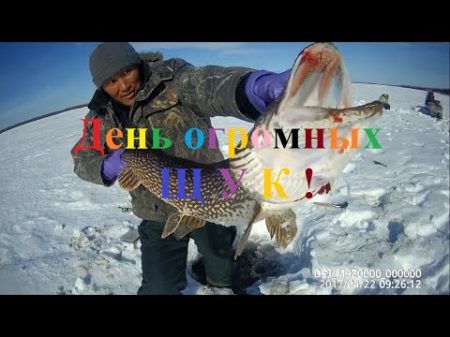Fishing день огромных щук Якутия ловим щук Yakutia