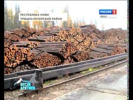 Безотходная переработка леса запущена в Республике Коми