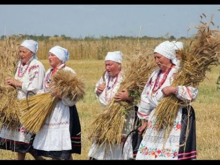 Народный обряд Зажинки прошел в Несвижском регионе