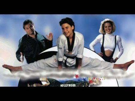 Нинджа дракон 1993