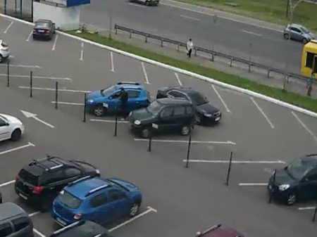 Работают барсеточники Работают барсеточники