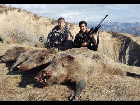 Цикл Таджикистан охотничий 4 серия Охота на кабана в Таджикистане с луком и стрелами