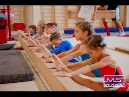 Студия спортивной гимнастики MADNESS г Зеленоград