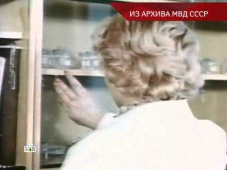 НТВ Следствие вели Зверьё