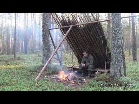 Укрытие от дождя в сосновом лесу из природных материалов