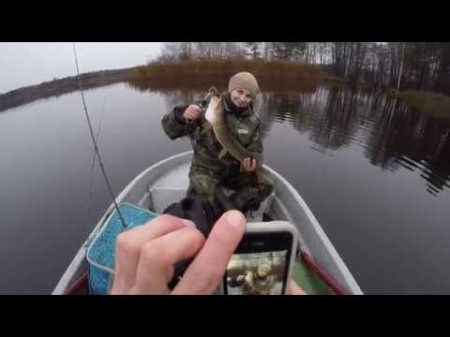 Жена обловила в пух и прах!!! Закрытие сезона 2016 Тира выдержала