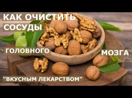 Как очистить сосуды головного мозга вкусным лекарством Варикозы сердечно сосудистая система