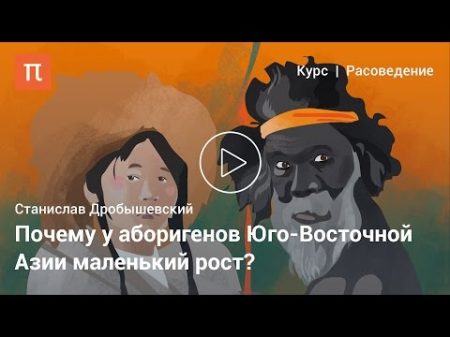 Негрито Станислав Дробышевский