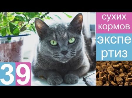 Экспертиза 39 сухих кормов состав качество и безопасность