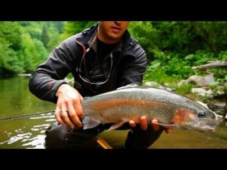 TFF TV 2 Ловля на нимфы в Закарпатье Fly Fishing on nymph in Carpathians river