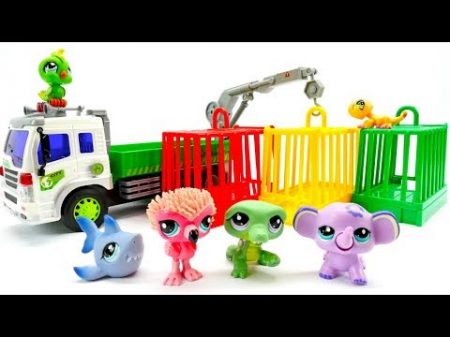 New zoo animals for kids Videos for kids with toys