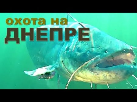 Подводная охота на Днепре Spearfishing on the Dnieper