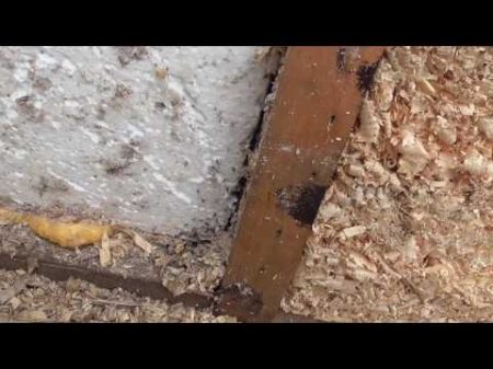 Вскрытие стен каркасника через 10 лет пенопласт минвата стружка