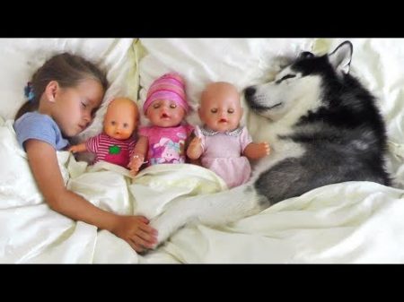 My super fun day with Baby Dolls and Dog Sofia pretend play with toys for girls