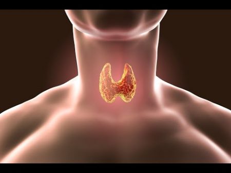 Щитовидная железа Проблемы и секреты выздоровления Борис Увайдов