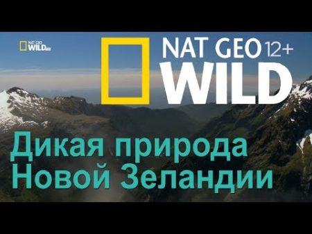 Nat Geo Wild Дикая природа Новой Зеландии затерянный рай Wild New Zealand Lost Paradise