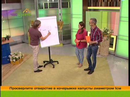 Планировка дачного участка Час у дачи 11 09 2014 GuberniaTV