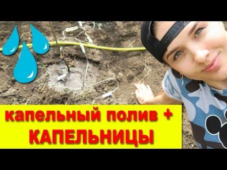 КАПЕЛЬНИЦА для растений! Система капельного полива Капельный полив своими руками Juliya