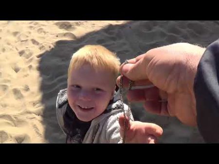 Мишка Пляжный Ювелир Поиск золота не по Детски