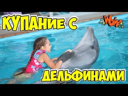 Плавание с дельфинами в дельфинарии НЕМО Одесса в День Рождения Children Swim with Dolphins