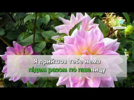 Ти ж мене пiдманула Украинская народная karaoke ru