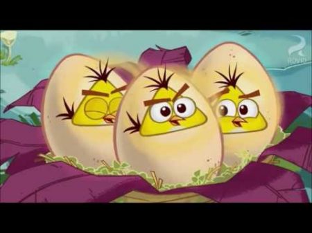 ЗЛЫЕ ПТИЧКИ - Angry Birds. Мультфильм