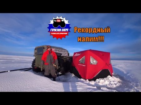 Рыбалка налима на Онего Жесть! Мишка опять побил рекорд! д5 ч1