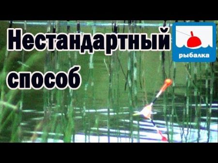 Как можно поймать карася летом особый вариант