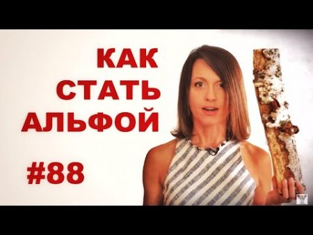 Как стать альфой если тебе это надо Всё как у зверей 88