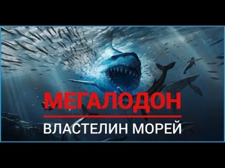 Мегалодон - властелин морей