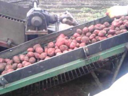 Картофелеуборочный комбайн своими руками 2015г