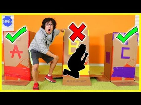 Don t Choose the Wrong Mystery Box Challenge!!!!