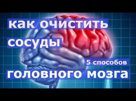 5 способов очищения сосудов головного мозга