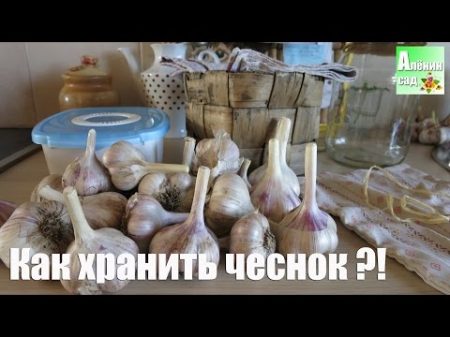 Как сохранить ЧЕСНОК Все тайны! All about garlic storage