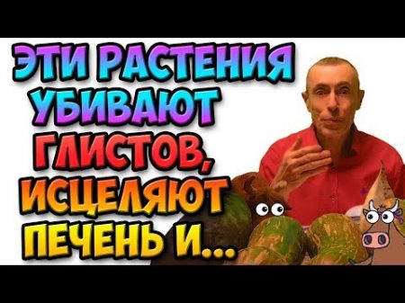 ЭТИ РАСТЕНИЯ УБИВАЮТ ГЛИСТОВ ИСЦЕЛЯЮТ ПЕЧЕНЬ! УБИРАЮТ ЗАПОР! Островский Глисты паразиты в человеке