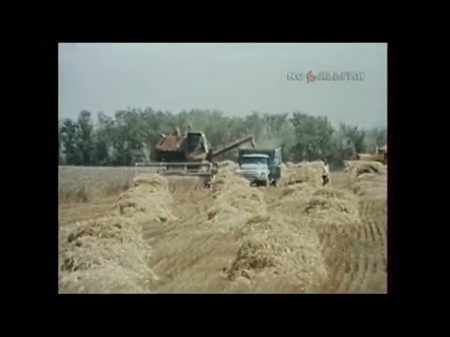 1988 год Уборка урожая в Волгоградской области