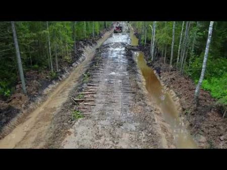 Строительство лесной дороги