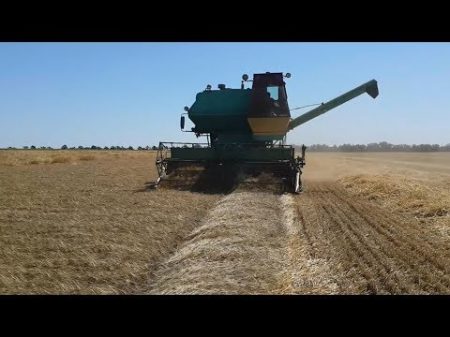 Сложнейшая уборка поваленной пшеницы 2017 года ДОН 1500б и Нива ск 5