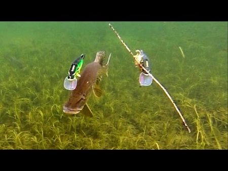 Pike attack Mike Ricky fishing lures Gäddfiske Рыбалка щука атакует рыболовные приманки