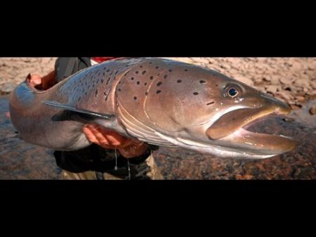 Рыбалка на Тайменя Якуб Вагнер Монголия часть 2 Monster fish
