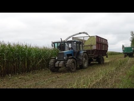 Уборка кукурузы на силос в СПК Гигант