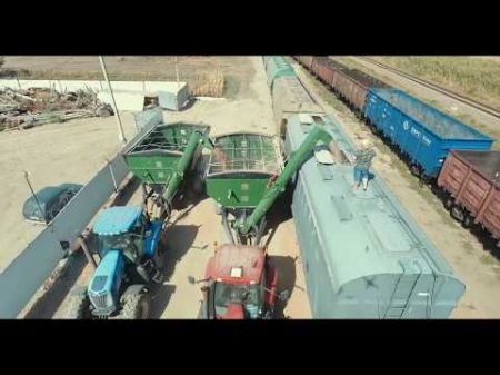 Скоростная загрузка вагонов зерном в Ростовской области