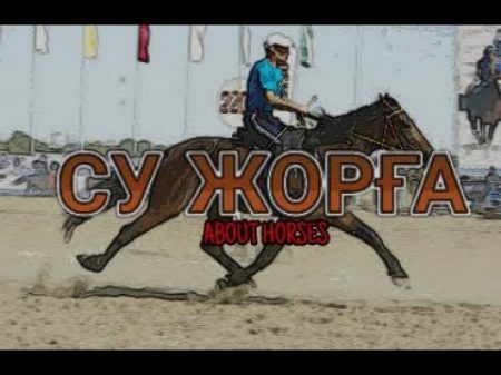 АЯҚТАРЫНЫҢ ЖЫЛДАМДЫҒЫНАН КӨЗІҢ ШАТЫСАДЫ СУ ЖОРҒА About Horses