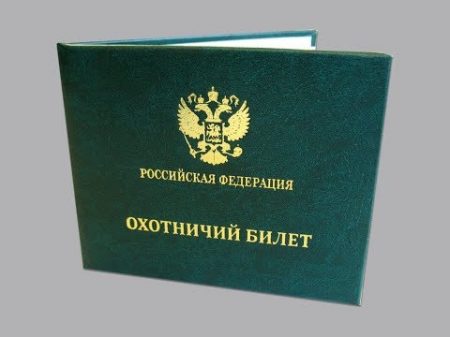Для чего нужен зеленый охотничий билет часть 1 основа