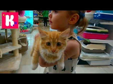 VLOG Кошечка Мурка с Катей в салоне красоты грюминг подарки от магазина для животных