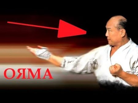 Масутацу Ояма реальный бой каратэ кёкусинкай тренировки