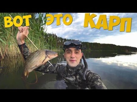 ВОТ ЭТО КАРП ШАШЛЫК ИЗ КАРПА ПОДВОДНАЯ ОХОТА