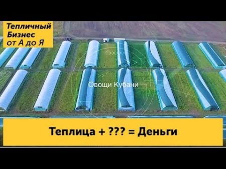 Что выгодно выращивать на продажу в теплице круглый год Рентабельный тепличный бизнес